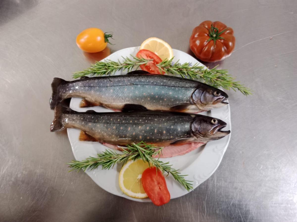 ניוסטיפט אים סטובאיטל Hotel Waldcafe מראה חיצוני תמונה